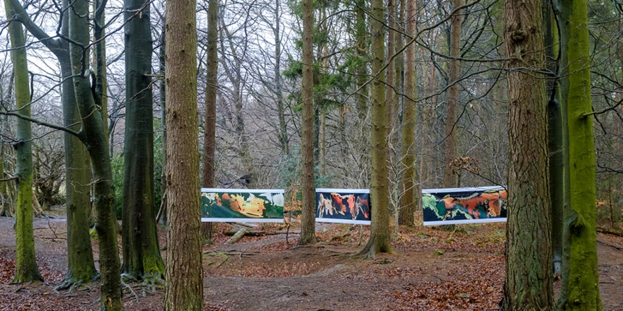 Trees in Dalby Forest with photographic banners of flowers.